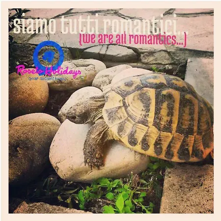 Roseto Holidays *