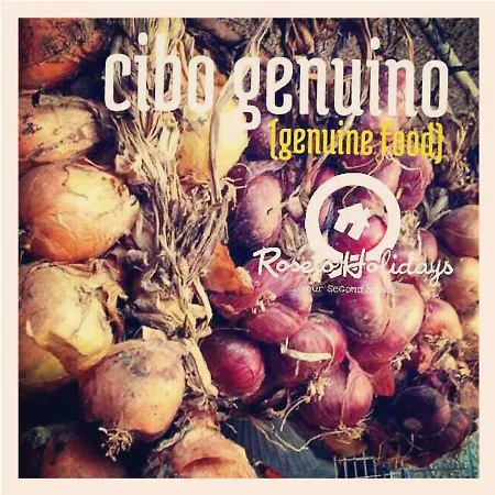 Roseto Holidays * Roseto Degli Abruzzi