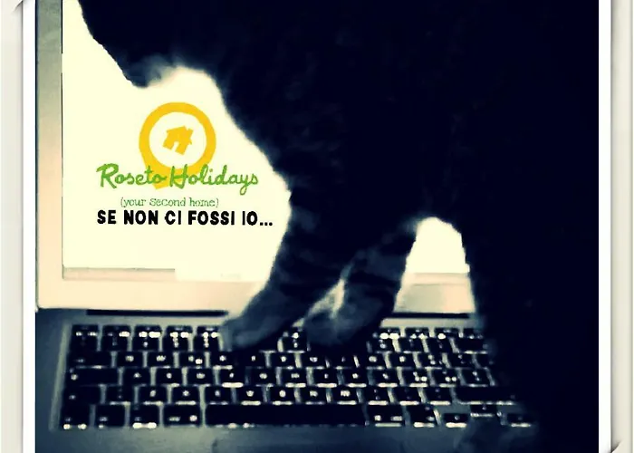 Roseto Holidays *